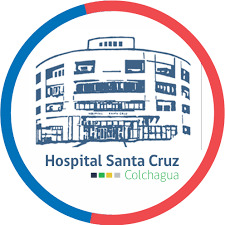 Logo Hospital Santa Cruz